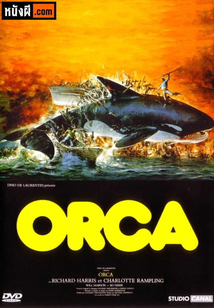 Orca ออร์ก้า ปลาวาฬเพชฌฆาต